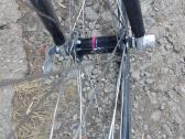 Plentinukas nishiki criterium - nuotraukos Nr. 6