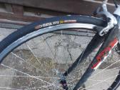 Plentinukas nishiki criterium - nuotraukos Nr. 7