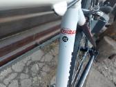 Plentinukas nishiki criterium - nuotraukos Nr. 8