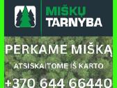 < Brangiai superkame Miškus >