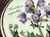 Villeroy & Boch indelis su dangteliu - nuotraukos Nr. 2