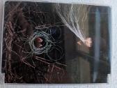 Björk - Greatest Hits (Volumen 1993-2003) (dvd-v, - nuotraukos Nr. 4
