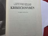 Parduodamos istorinės knygos vadovėliai - nuotraukos Nr. 31