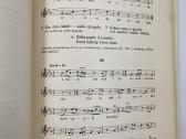 Knyga Lietuvių liaudies melodijos, 1938m - nuotraukos Nr. 4