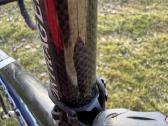 Trek SL 1000 plento dviratis . 58 cm . - nuotraukos Nr. 14