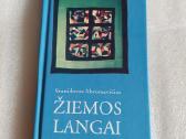 Žiemos langai