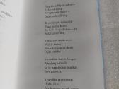 Žiemos langai - nuotraukos Nr. 3