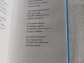 Žiemos langai - nuotraukos Nr. 4