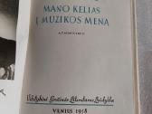 Mano kelias į muzikos meną - nuotraukos Nr. 3