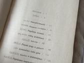 Kiekviena diena sėkminga - nuotraukos Nr. 2