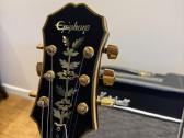 Epiphone sheraton 2 korea - nuotraukos Nr. 3