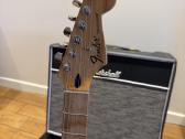 Fender stratocaster standard - nuotraukos Nr. 2