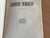 Pasitaikomieji ir Gedimieji pamokslai 1915 m. - nuotraukos Nr. 4