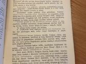 Pasitaikomieji ir Gedimieji pamokslai 1915 m. - nuotraukos Nr. 5