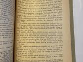 Šv. Rašto neklaidingumas 1934 m. - nuotraukos Nr. 5