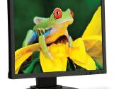 LED Monitorius Nec Ea192m 19 1280 x 1024 - nuotraukos Nr. 2