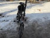 Leader Fox E-bike miesto dviratis - nuotraukos Nr. 2