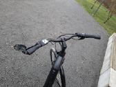Batavus E-bike Bosch mid motor, 2023, 2116km, - nuotraukos Nr. 4