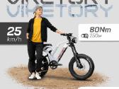 Navy ebike Fatbike Navy elektrinis dviratis - nuotraukos Nr. 3