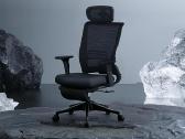Flexispot ergonominė ir sulankstoma biuro kėdė