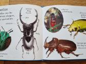 Knyga "let's look at Bugs" - nuotraukos Nr. 3