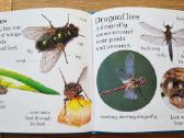 Knyga "let's look at Bugs" - nuotraukos Nr. 4