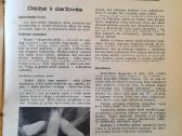 Žurnalas "Moteris" 1938m - nuotraukos Nr. 5