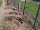 Kelmų frezavimas Šakų smulkintuvo nuoma - nuotraukos Nr. 29