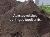 Juodzemis, dirvozemis, augalinis sluoksnis
