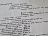 Namas su sklypu