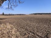 10.8800ha žemės sklypas Ilgininkų km.varėnos raj.