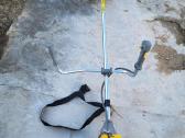 Trimeris