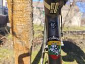 Specialized Allez plento dviratis XL + extra - nuotraukos Nr. 3