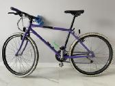 MTB Raleigh Mirage 1989 m. - nuotraukos Nr. 2