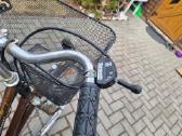 Batavus Flying Dutchman - nuotraukos Nr. 12
