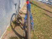 White XC 240 Lite (24 coliai) - nuotraukos Nr. 4