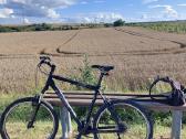 Trek 4300. - nuotraukos Nr. 2