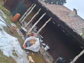 Demontavimo ir griovimo darbai Vilniaus rajone - nuotraukos Nr. 9