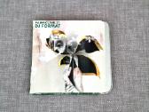 Dj Format - Fabriclive 27 (CD, albumas)