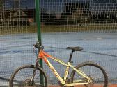 Focus Kalnu dviratis MTB