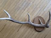 Interjero akcentas ragai 87 cm, 4 atšakos - nuotraukos Nr. 2