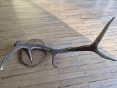 Interjero akcentas ragai 87 cm, 4 atšakos - nuotraukos Nr. 3