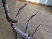 Interjero akcentas ragai 91 cm, 5 atšakos - nuotraukos Nr. 4