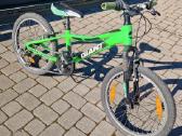 Giant 20 " vaikiškaa dviratis