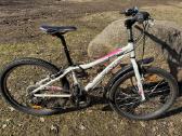 Mangoose rockadile SL