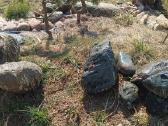 Akmenys lauko rieduliai lanshaftui - nuotraukos Nr. 5