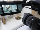 Sony Fx6 - nuotraukos Nr. 6