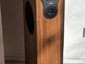 Rega Rx5 grindinės kolonėlės (su garantija)