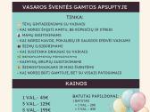 Erdvė vaikų/šeimos šventėms su dideliu kiemu - nuotraukos Nr. 35