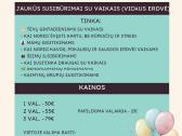 Erdvė vaikų/šeimos šventėms su dideliu kiemu - nuotraukos Nr. 36